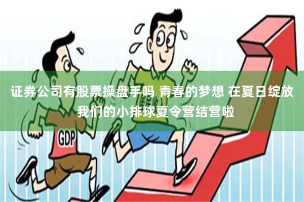 证券公司有股票操盘手吗 青春的梦想 在夏日绽放  我们的小排球夏令营结营啦