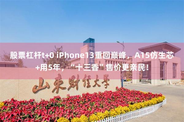 股票杠杆t+0 iPhone13重回巅峰，A15仿生芯+用5年，“十三香”售价更亲民！