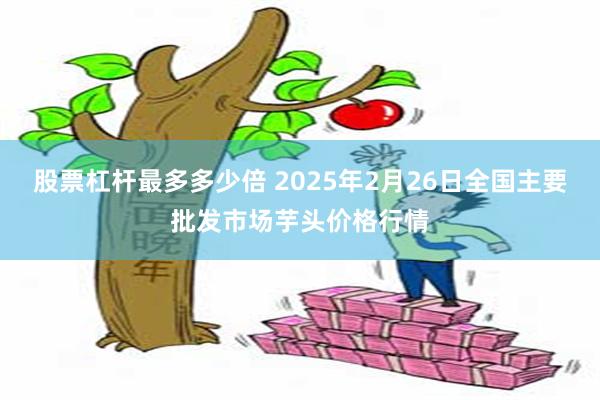 股票杠杆最多多少倍 2025年2月26日全国主要批发市场芋头价格行情